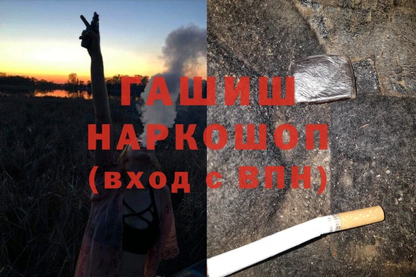 эйфоретик Алзамай