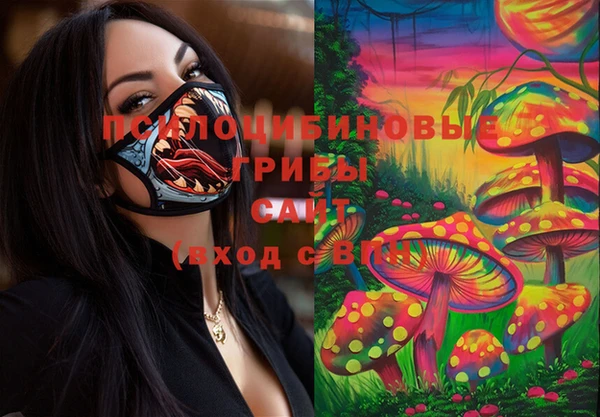 таблы Алексин