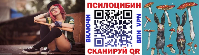 закладки  Фурманов  Псилоцибиновые грибы GOLDEN TEACHER 